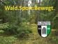 Ein grüner Waldweg mit zahlreichen Nadelbäumen und dem Slogan Wald Sport Bewegt.